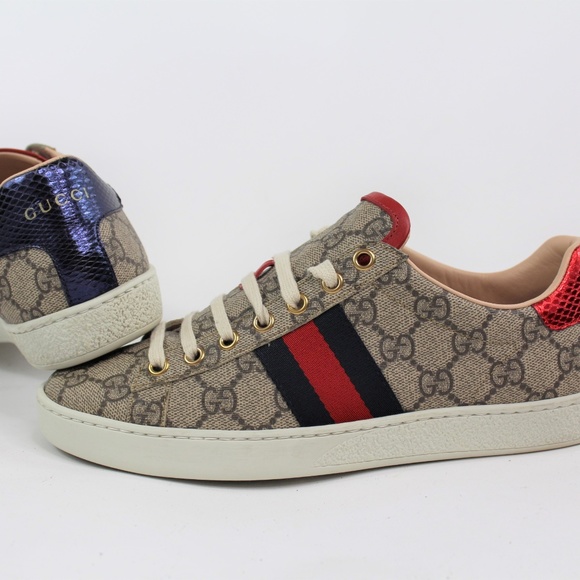 gucci og sneakers